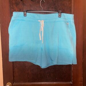 NWT Livi shorts 26/28 ombré blue